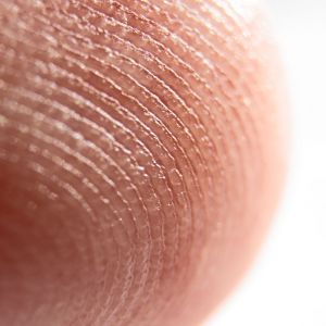 Le passeport biométrique en Gironde à partir du 15 juin