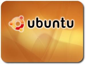Dell cesse de vendre des PC sous Linux sur son site internet