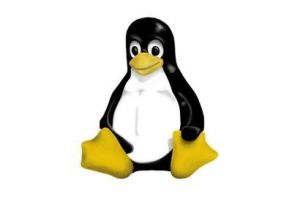 Linux fête son vingtième anniversaire