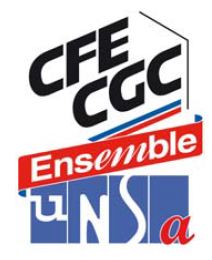 La CFE-CGC/UNSA attaque l'ouverture des 1800 MHz à la 4G devant le Conseil d'Etat