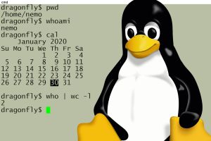 Introduction à la ligne de commande Linux